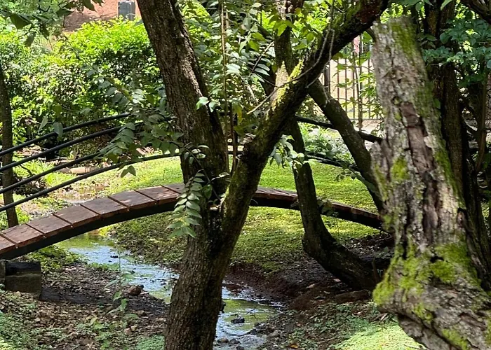 Casa Tortuga - Walk Río Sequito