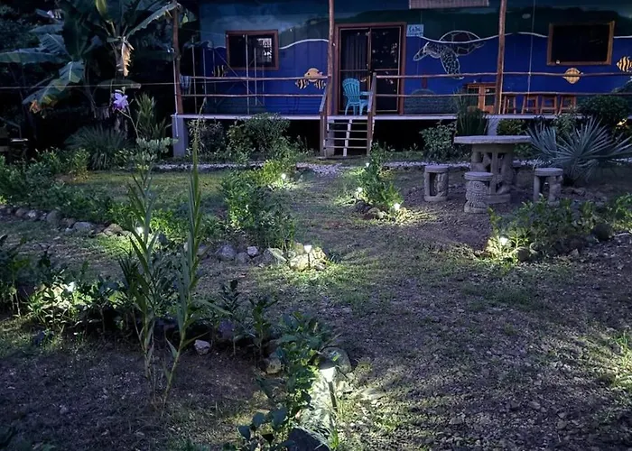 Casa Tortuga - Walk *